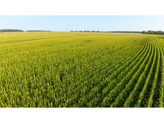 TRACT 4 - ILLINOIS LAND AUCTION - 4,810+/- ACRES OFFERED IN 85 TRACTS IN FRANKLIN, WILLIAMSON, HAMILTON & SALINE COUNTIES, ILLINOIS